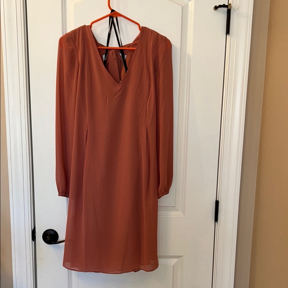 Chic Dusty Rose Long Sleeve Dress
